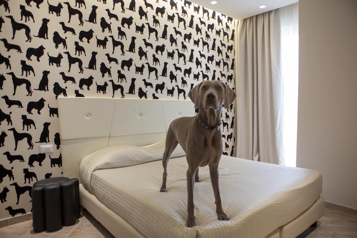 Hotel Principe Rimini Ngoại thất bức ảnh
