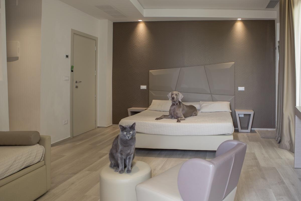 Hotel Principe Rimini Ngoại thất bức ảnh